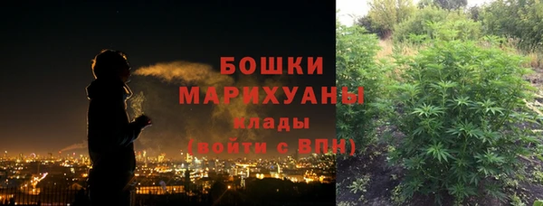 гидра Алексеевка