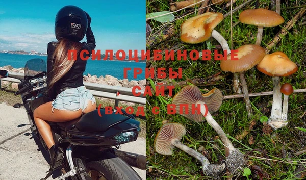 героин Алзамай