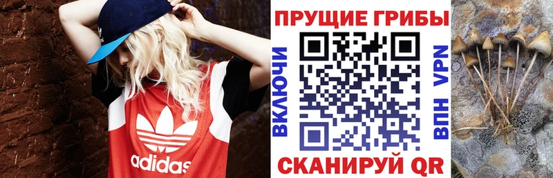 наркотики Урай Галлюциногенные грибы Magic Shrooms